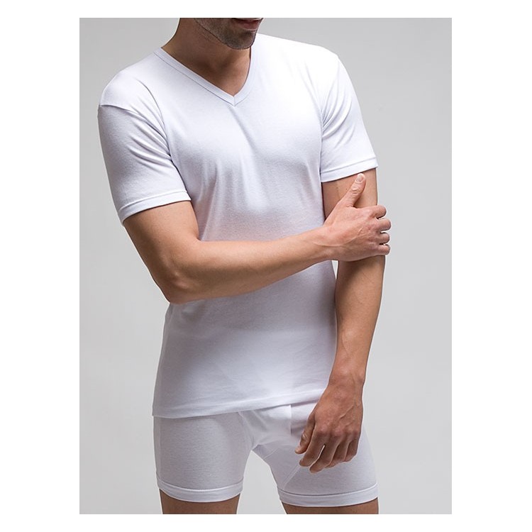 Camiseta interior hombre TERMAL manga corta y cuello en pico 100% poliéster 1x1. (Ref: 7421) Camiseta interior hombre TERMAL manga corta y cuello en pico 100% poliéster 1x1. (Ref: 7421)