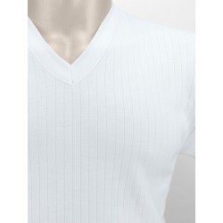 Pack 6 Unds. Camiseta interior termal hombre manga larga cuello pico 100% algodón en Interlock desagujado. (ref.731)