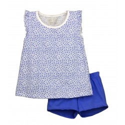 Conjunto flores azules verano