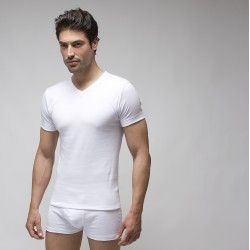 Camiseta interior hombre 731 algodón m/l con felpa y cuello pico de Rapife