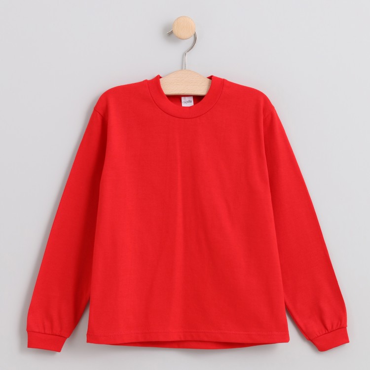 Camiseta manga larga 100% algodón